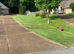 Charles G.'s Lawn Mowing service result