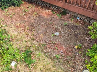 Weeding by Richard Vonderau for Katrina S. in Parma, OH