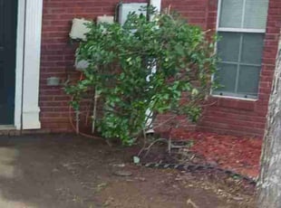 Bush Trimming by Jazzmin Earl for Kenyatta B. in Lithonia, GA