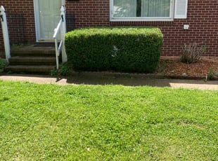 Bush Trimming by Leroy Major for Kayla R. in Newport News, VA