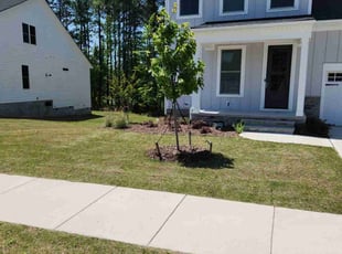 Michael M.'s Yard Cutting service result