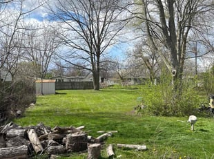 Tim H.'s Lawn Mowing Service service result