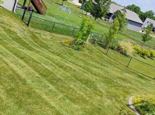Cordaven H.'s Yard Cutting service result
