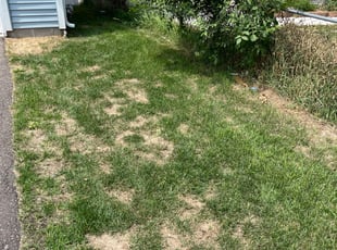 Landscaping by Kenneth Walton for Abdul K. in Columbia Heights, MN
