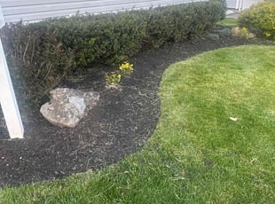 Weeding by Zachary Ballesteros for Sydney P. in Edison, NJ