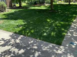 Perriann R.'s Lawn Maintenance service result