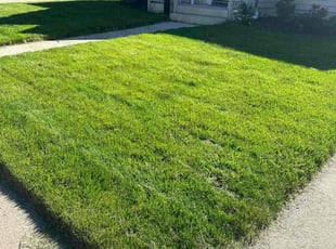 Lavell C.'s Lawn Care service result