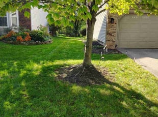 Philip M.'s Lawn Service service result