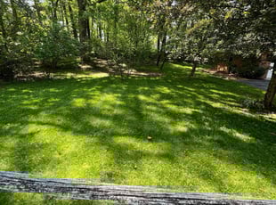 Heather F.'s Lawn Mowing service result
