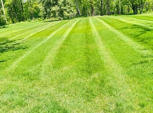 Linda M.'s Lawn Maintenance service result