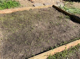 Weeding by Scott Ellis for Sarah S. in Boise, ID