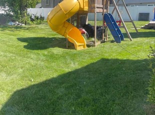 Brandon B.'s Yard Cutting service result