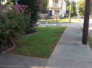 Dennis W.'s Lawn Mowing service result