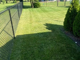 James C.'s Lawn Mowing service result