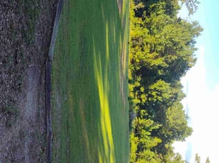 David R.'s Lawn Maintenance service result