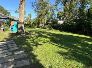 Cedric B.'s Lawn Care service result