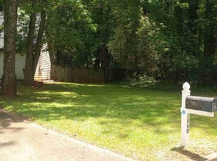 Charlotte C.'s Lawn Mowing service result