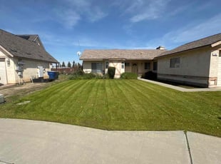 Marina M.'s Lawn Mowing Service service result
