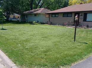 Barbara S.'s Yard Cutting service result