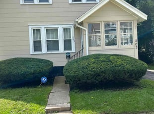 Bush Trimming by David Bowen for Shamika B. in Syracuse, NY