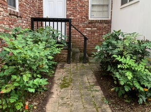 Bush Trimming by Trent Fields for Brandon B. in Atlanta, GA