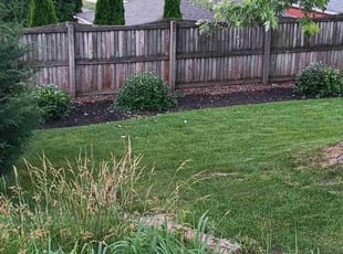 Bush Trimming by Joshua Barry for Laurie M. in Rockford, IL