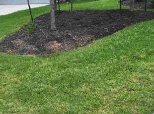 Bob A.'s Lawn Maintenance service result