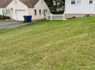 Bryan M.'s Lawn Service service result