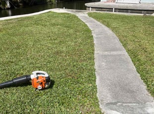 Richardo G.'s Lawn Mowing service result