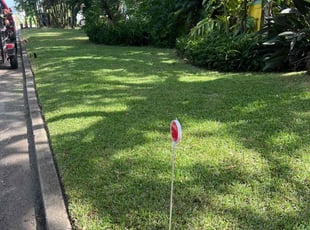 Jennilee H.'s Lawn Service service result