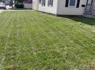 Marilynn H.'s Lawn Service service result