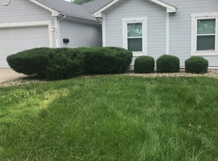 Bush Trimming by John Vaughn for Timothy P. in Raytown, MO