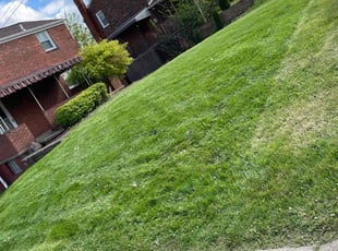 Ahenry731@gmail.com H.'s Lawn Service service result