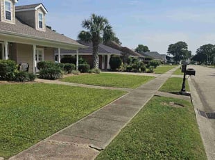 Corey S.'s Lawn Maintenance service result