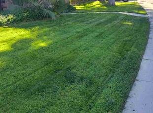 Walter D.'s Grass Cutting service result