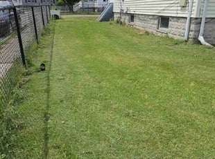 Krystyna H.'s Lawn Service service result