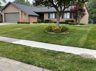 Bush Trimming by Myles Sylvester for Kimberly B. in Indianapolis, IN