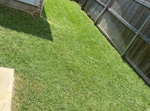 Katelyn A.'s Grass Cutting service result