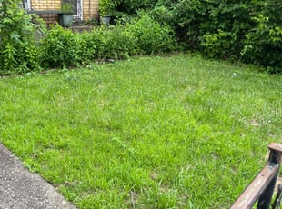 Weeding by Vincent Daniele for Gidget W. in Pittsburgh, PA