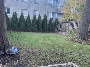 Leaf Removal by Michael Williams for Tim B. in Milwaukee, WI