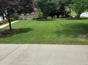 Nasikt E.'s Lawn Service service result