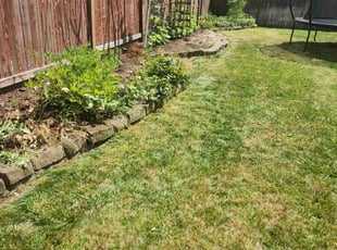 Justin D.'s Lawn Care service result