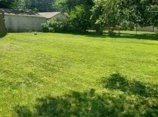 Kristen F.'s Lawn Maintenance service result