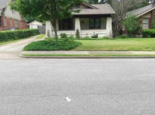 Sean T.'s Lawn Mowing service result