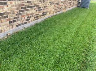 Lina A.'s Lawn Mowing service result