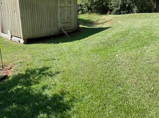 Joe W.'s Lawn Mowing service result