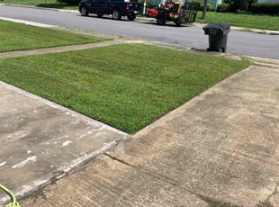 James W.'s Yard Cutting service result