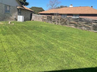 Edna D.'s Lawn Mowing service result