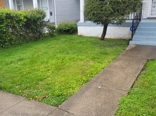 Bush Trimming by Ceo Bailey for Angela L. in Louisville, KY