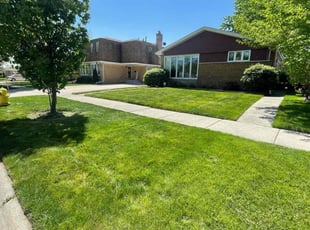 Philip W.'s Lawn Care service result